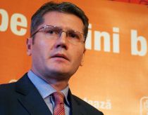 liviu negoita