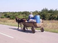 Senatul a dat „undă verde” căruţelor, pe drumurile naţionale
