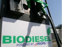 Banca Mondială: Biocombustibilii, motivul scumpirii alimentelor la nivel global cu 75%