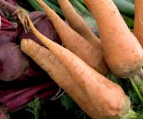 Supermarketurile din U.E. pot vinde din nou legume şi fructe diforme