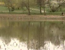 Lacul Circului