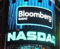 bursa americana