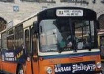 Autobuz