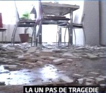 gravida