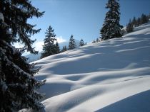 avalansa