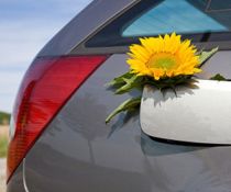 biofuel