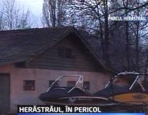 herastrau