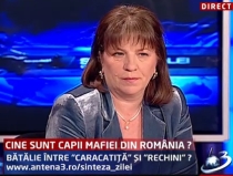 sinteza zilei