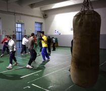 ring de box