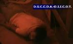 Reţea de falsificatori de bani, anihilată în Bucureşti (VIDEO)