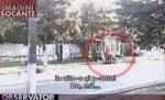 Cruzime ieşită din comun. Un român şi-a tranşat mânzul cu drujba