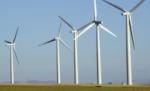 Un grup portughez a cumpărat două firme româneşti de energie eoliană cu 8,4 milioane euro

