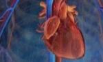 Infarctul, o problemă naţională. În România, mortalitatea cauzată de bolile cardiovasculare este în creştere