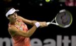 Cârstea şi Hănescu ratează calificarea în finale la turneele de la Luxemburg şi Sankt Petersburg