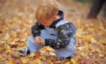 Constanţa. Un băiat de şapte ani a murit după ce a căzut într-o fosă septică 