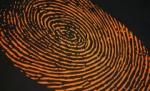 Amprentarea pe baza mirosului, o nouă modalitate de identificare a persoanelor