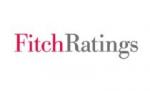 Fitch reduce ratingul Rompetrol Group de la ?stabil? la ?negativ?
