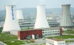 Guvernul amână privatizarea Oltchim până trece criza