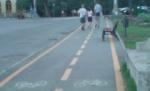 Timişoara. O femeie însărcinată şi fiica ei de cinci ani, accidentate pe trotuar