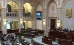 PNL a cerut amânarea învestiturii noului Guvern. Propunerea a fost respinsă