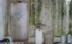 Şobolani, animale moarte şi mizerie de nedescris, la o fermă de lapte din Satu Mare