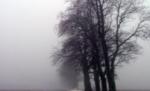 Ceaţă pe drumurile naţionale. Circulaţia se desfăşoară cu dificultate
