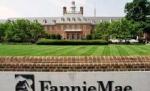 SUA. Băncile imobiliare Fannie Mae şi Freddie Mac ar putea solicita de la stat 45 de miliarde de dolari