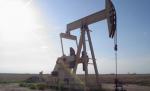 Barilul de petrol, la 40,35 de dolari