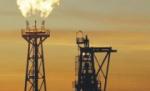 270 de milioane de euro- veniturile anuale ale României din exploatarea tuturor resurselor

