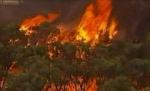Două persoane, arestate în cazul incendiilor devastatoare din Australia