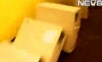 Domino cu PC-uri, sau cum să scapi de stress la birou (VIDEO)