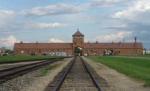 Firmă din industria auto germană, acuzată că a folosit păr de la Auschwitz

