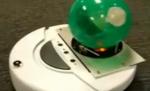 Bionic Hamster, noul aspirator de la iRobot, motorizat de un... rozător