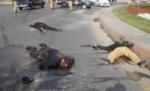 15 morţi şi 60 de răniţi, în urma unui atentat cu bombă, în Sri Lanka