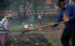 Ministerul Agriculturii demarează informarea privind formele de sprijin financiar pentru 2009