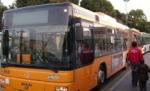 Italia: Linie de autobuz doar pentru imigranţi

