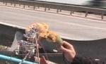 Rămăşiţele autostrăzii Soarelui: Asfaltul şi marcajele (VIDEO)