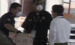Omenirea, la un pas de pandemia de gripă porcină. OMS cere creşterea producţiei de medicamente