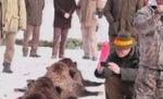 Ţiriac a renunţat la domeniul de vânătoare de la Balc, din cauza cheltuielilor de întreţinere