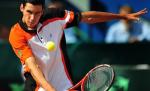Hănescu, învins în optimi la Roland Garros, de Fernando Gonzalez
