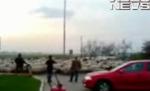 Ca la noi, la nimeni. Turmă de oi, pe mijlocul drumului european (VIDEO)