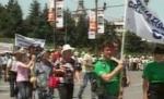 Altercaţii între fermieri şi jandarmi, în timpul protestelor din faţa Guvernului (VIDEO)