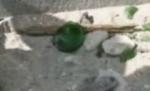 Zeci de copii s-au tăiat în cioburi şi cuie ruginite pe plaja din Eforie Sud (VIDEO)