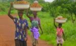 G8 se va angaja să sprijine agricultura africană
