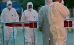 Gripa porcină şi teoria conspiraţiei. O jurnalistă austriacă acuză OMS şi ONU de bioterorism şi tentativă de genocid 