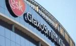 GlaxoSmithKline crede că va obţine 3,5 milliarde euro din tratarea gripei porcine
