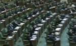 Deputaţii au votat pentru raportul Comisiei de anchetă în cazul Ridzi