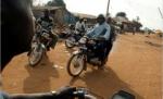 Infotrafic: Un motociclist a murit după ce o vacă i-a tăiat calea