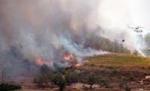 Incendiu de vegetaţie, în apropiere de Autostrada Bucureşti-Piteşti