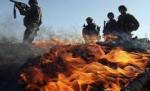 Israel: Ar trebui să adoptăm planul SUA de pace